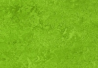 linoleum podlahy 3