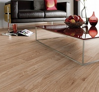 Dr. Schütz CC-PU-Čistič 3