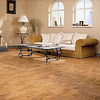 Dr. Schütz CC-Lesk na parkety a korek 