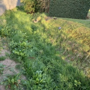 Deratizace  hlodavců