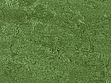Marmoleum Forbo