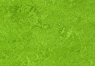 marmoleum ceník 4