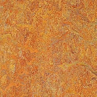 Marmoleum Forbo Praha 5