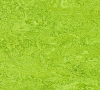 Marmoleum Real chartreuse