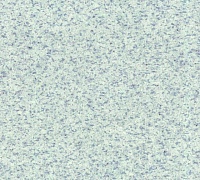 Tarkett Supreme Plus 018