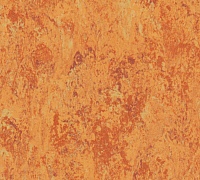 Tarkett Veneto xf 3.2 mm Amber 636