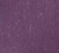 Tarkett Veneto xf 2.5mm Begonia 742