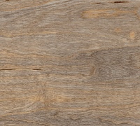amtico first bleached elm
