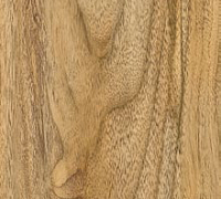 Experto Click Brazilian Walnut 20225