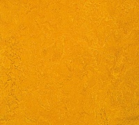 Marmoleum Fresco Golden sunset