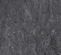 Tarkett Veneto xf 2.5mm Graphite 906