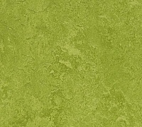 Marmoleum Fresco Green