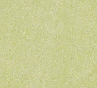 Marmoleum Real Grenn wellness