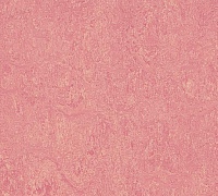 Marmoleum Real Honey suckle 