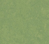 Marmoleum Fresco Leaf