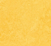 Marmoleum Fresco Lemon zest