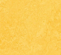 Marmoleum Fresco Lemon zest