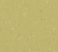 Marmoleum Piano Meadow