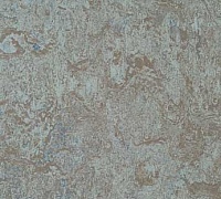 Marmoleum Real dove blue