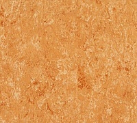 Tarkett Veneto xf 2.0mm 1871634