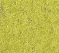 Tarkett Veneto xf 2.0mm 1871695