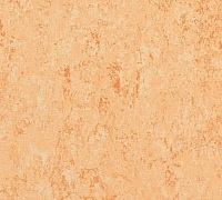 Tarkett Veneto xf 2.5mm Coral 615