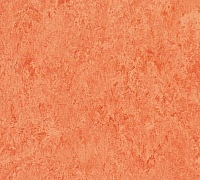 Tarkett Veneto xf 2.5mm Salmon 642