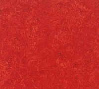 Tarkett Veneto xf 2.5mm carmine 645