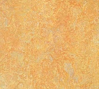 Marmoleum Vivace sunny day