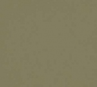 Walton Cirus rosemary green 3355
