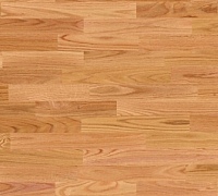 Dub červený natur, olej 