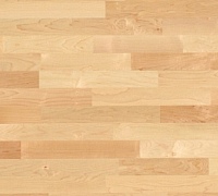 Javor kanadský natur, olej 