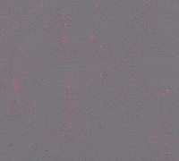 Marmoleum Concrete Purple shimmer 3735