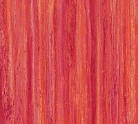 Marmoleum Striato Red roses