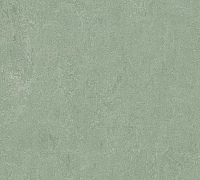 Marmoleum Fresco Sage