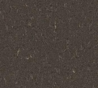 Marmoleum Piano Sealion