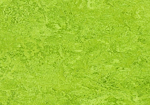 Marmoleum Real chartreuse
