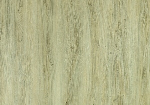 ID Selection 40 English Oak Grege