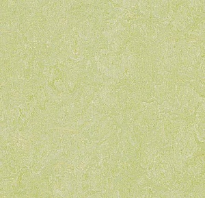 Marmoleum Real Grenn wellness