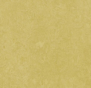 Marmoleum Fresco Mustard
