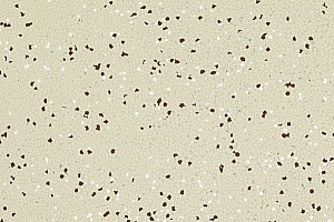 Elektrostatik A 8306