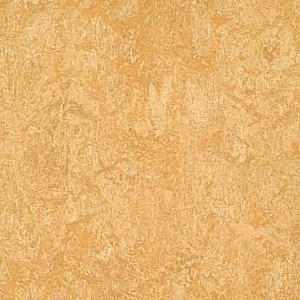 Marmoleum Real Van Gogh