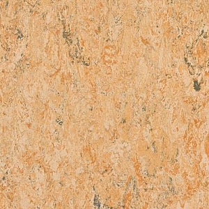 Tarkett Veneto xf 2.5mm Camel 616