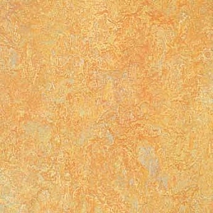 Marmoleum Vivace sunny day