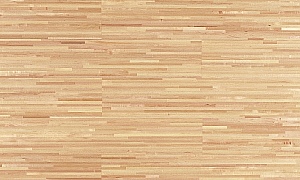 Javor kanadský, lak 